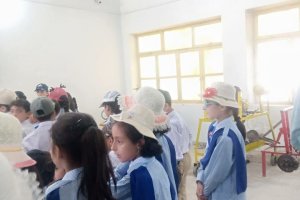 Field Trip Grade 3